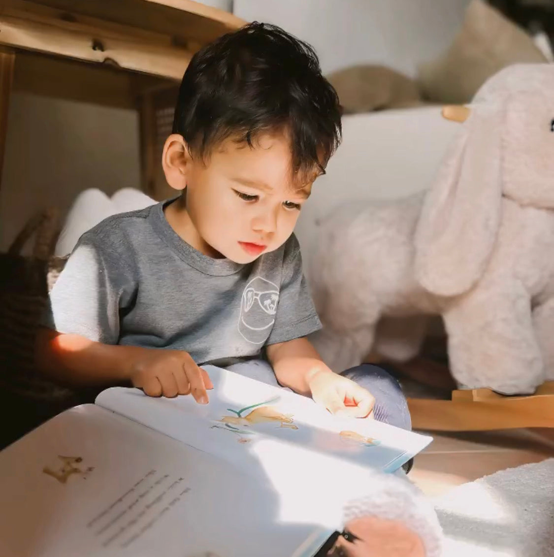 Child reading the Adventures of Fox book, Hi, I'm Fox!